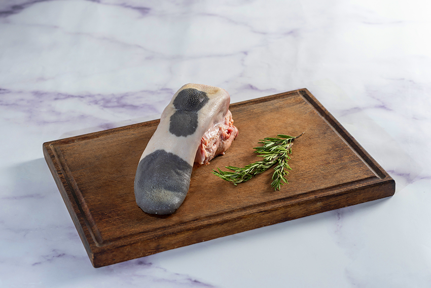 Lengua